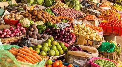 A Arte de Negociar e Valorizar o Trabalho do Agricultor - inspiração 2