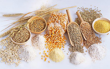 Diabetes sob controle: fibras como aliadas na regulação da glicose - inspiração 1