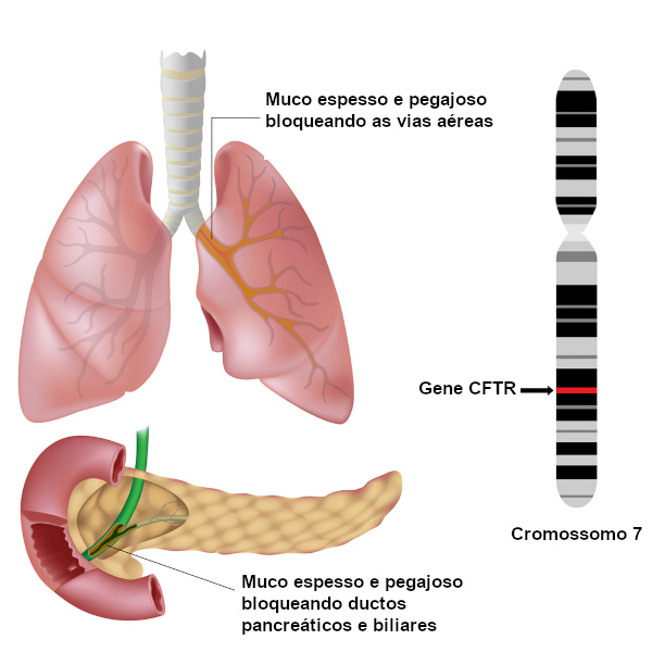 Dicas Práticas para Tornar a Alimentação uma Aliada no Controle da FC - inspiração 1