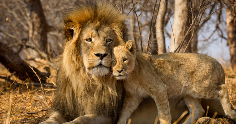 Encontrando os Melhores Locais para Praticar - inspiração 1