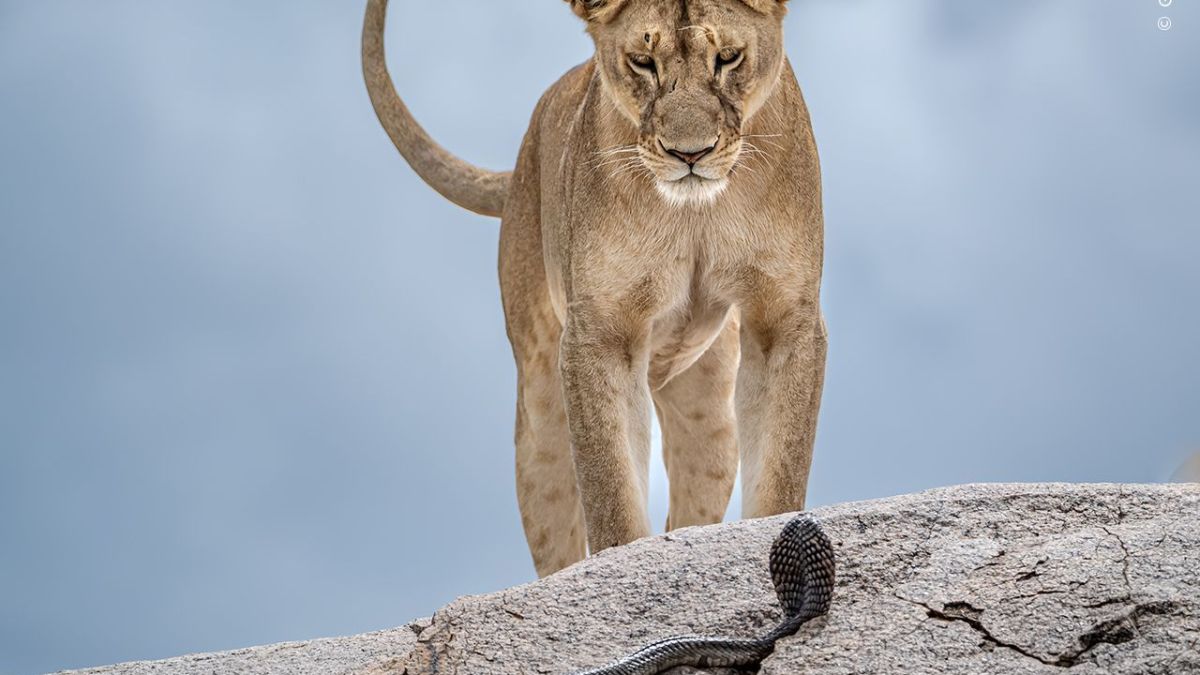Entendendo a Luz: O Melhor Horário para Fotografar - inspiração 1
