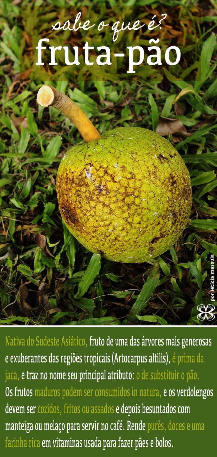 Fruta-Pão Salgada: Acompanhamentos Criativos - inspiração 1