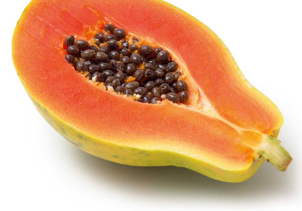 Melão Cantalupo: Hidratação e Vitamina C Caminham Juntas - inspiração 1
