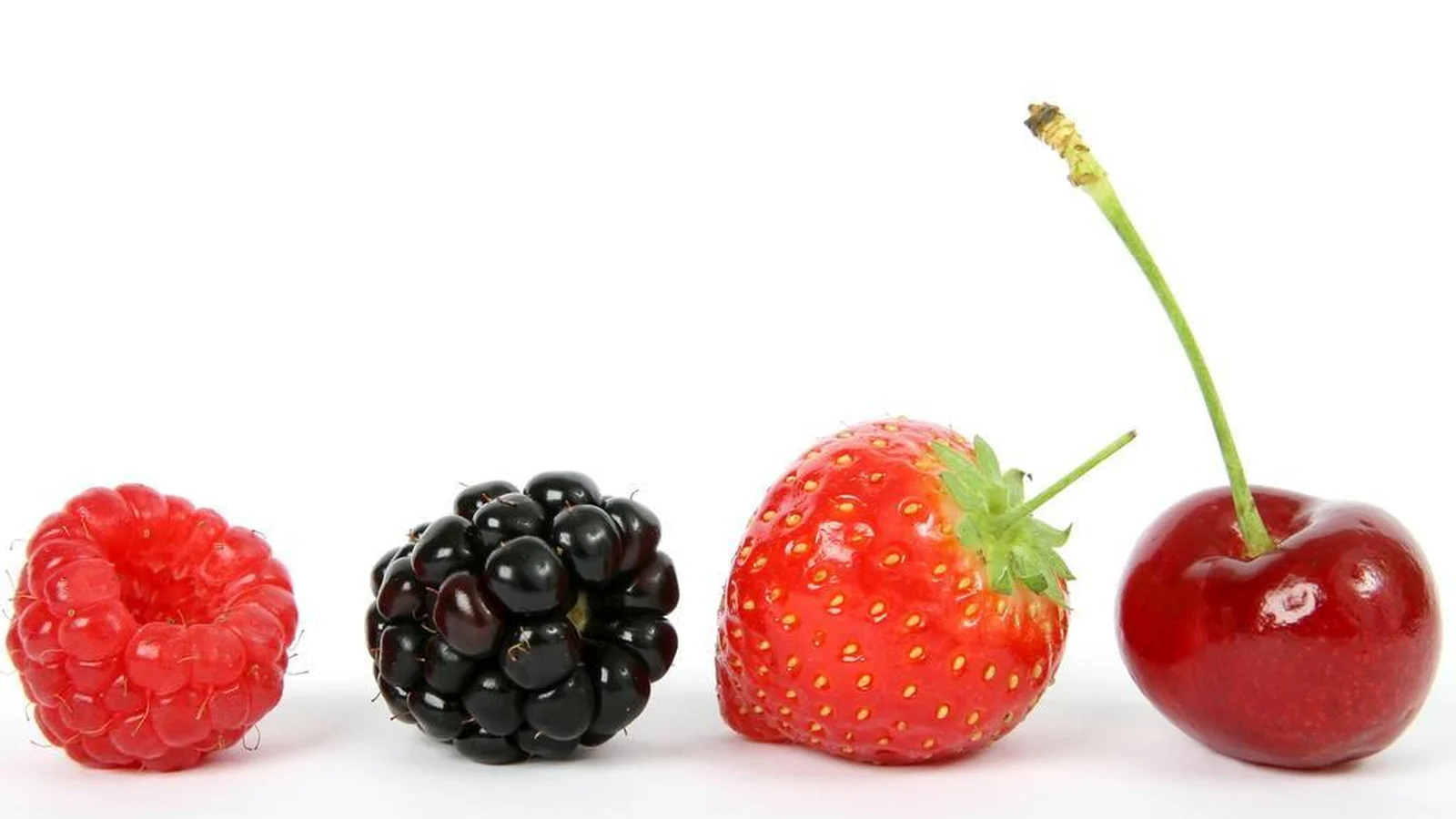 Mirtilo: O Campeão do Sistema Imunológico - inspiração 2