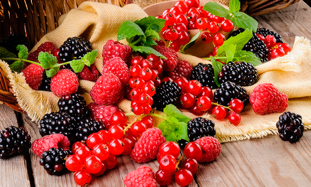 Jabuticaba: Pele Jovem e Energia Renovada - inspiração 2