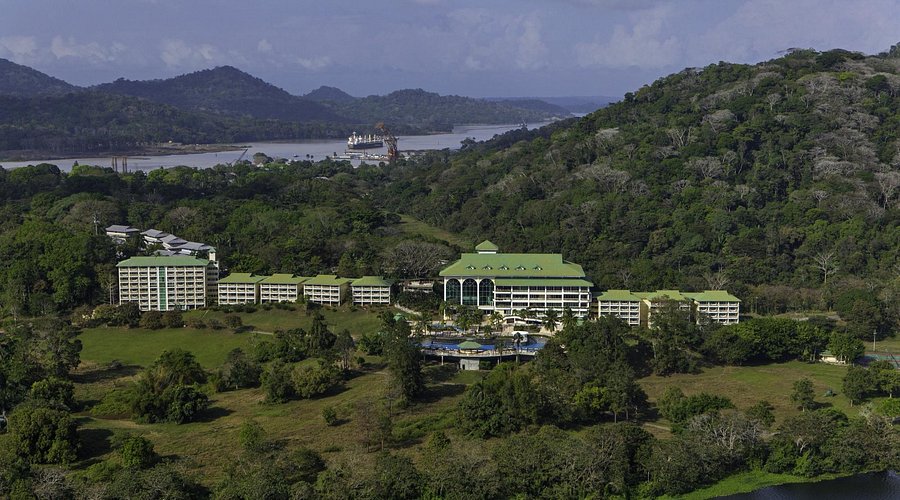 Eventos e Festas: A Efervescência Cultural da Gamboa - inspiração 2