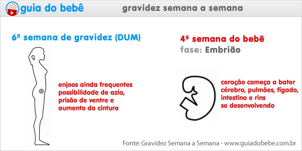 Reta Final: O Bebê Pronto para Nascer (Semanas 37-40) - inspiração 2