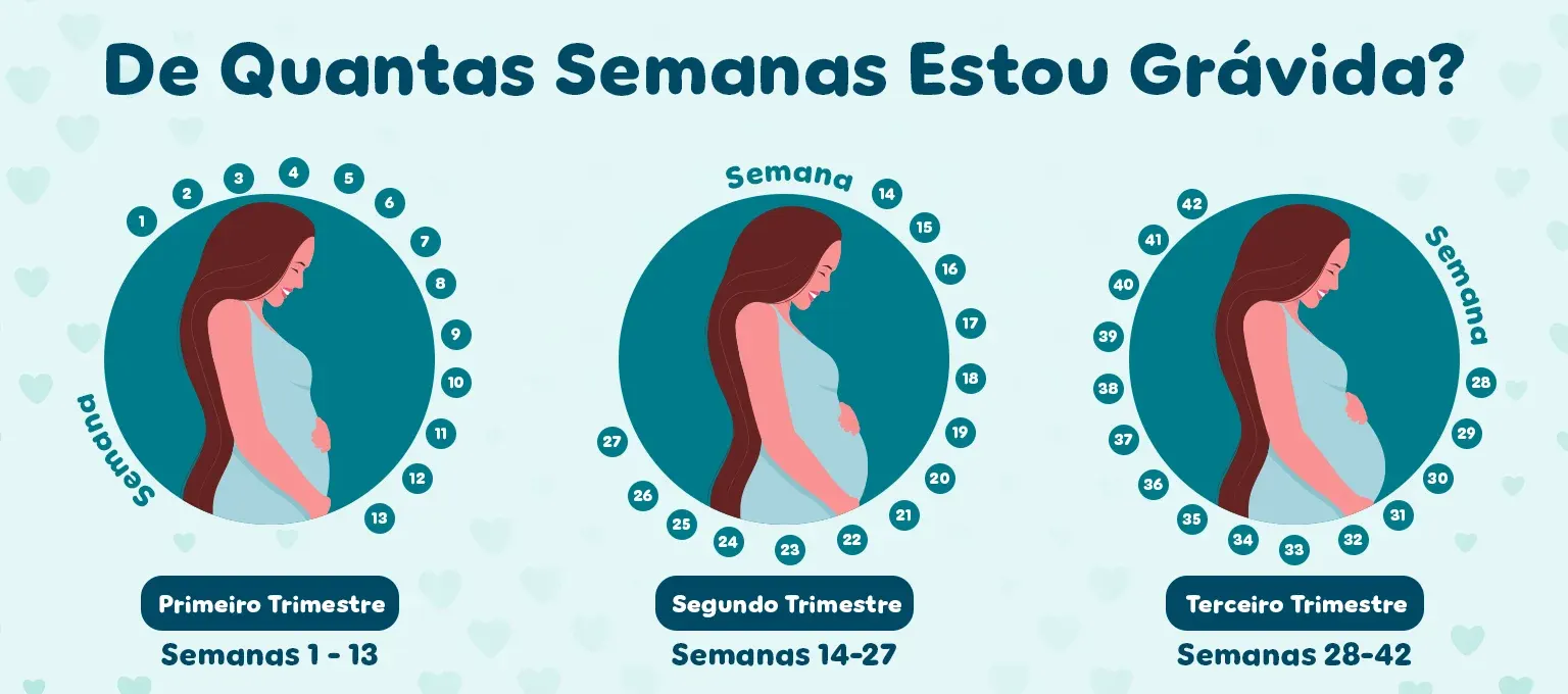 Preparação para o Mundo Exterior: Pulmões Madurando (Semanas 25-28) - inspiração 1