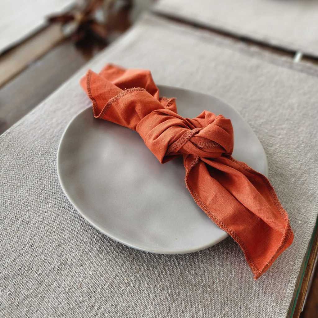 Cuidados Essenciais: Lavagem e Conservação - inspiração 2