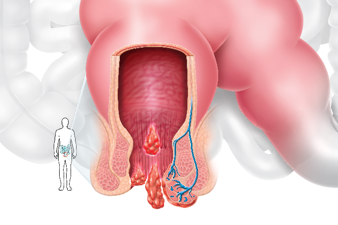 Planejamento de Refeições: Facilite Sua Rotina Alimentar - inspiração 2