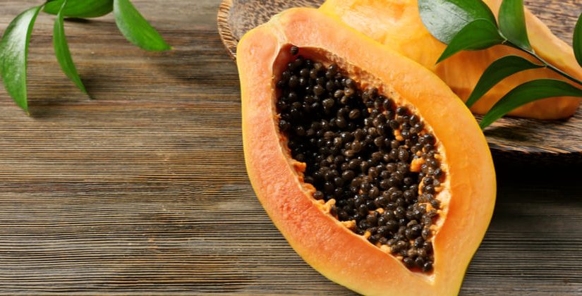 O Papel dos Probióticos Para Um Intestino Saudável - inspiração 2