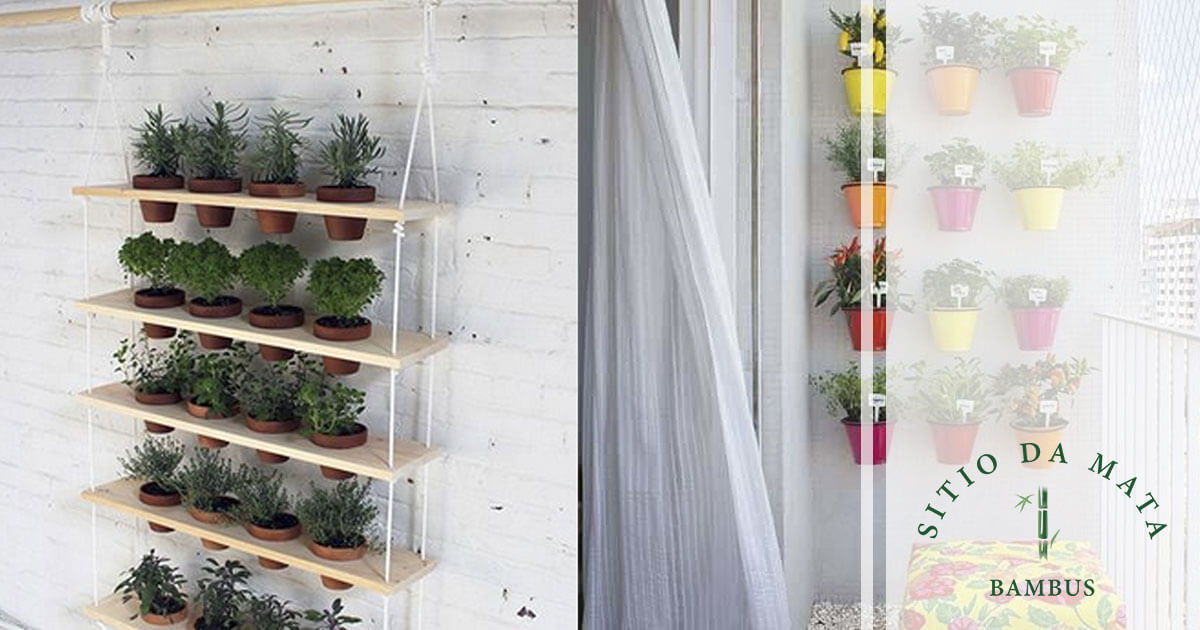 Cultivando Hortaliças Pequenas: Opções Que Cabem no Seu Espaço - inspiração 1