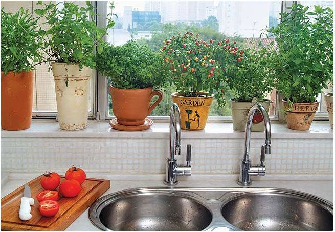 Combatendo as Pragas Sem Agrotóxicos - inspiração 2