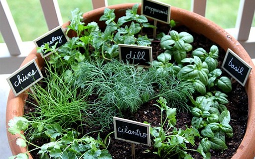 Colheita na Ponta dos Dedos: O Momento Certo - inspiração 2