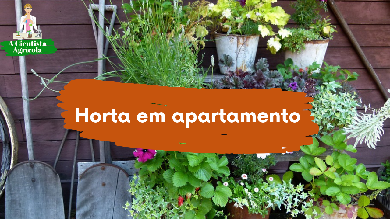 O Poder das Ervas Aromáticas: Temperos Frescos na Sua Cozinha - inspiração 2