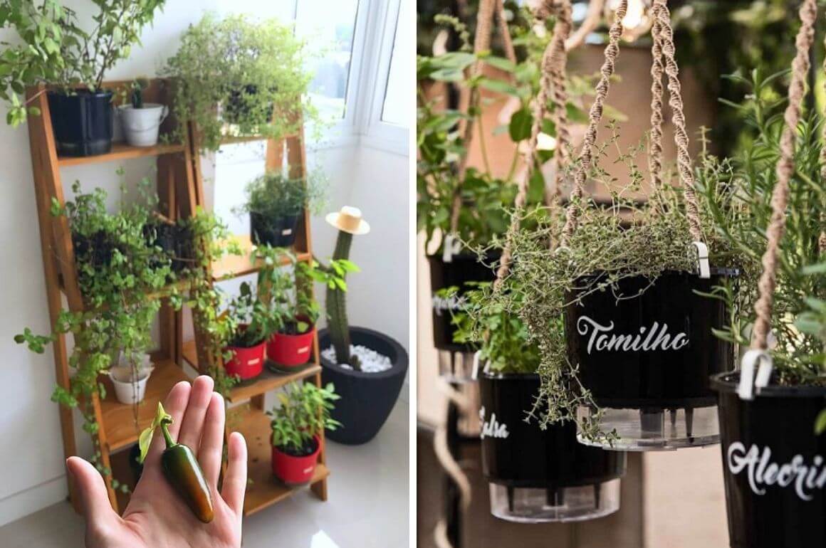 Adubação Inteligente: Alimento na Medida Certa - inspiração 2