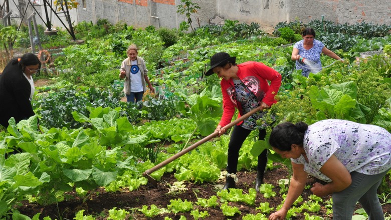 Horta Vertical: Solução Inteligente Para Pouco Espaço - inspiração 2