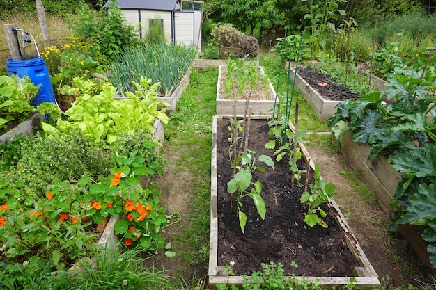 Preparando a Terra: O Segredo da Boa Colheita - inspiração 2