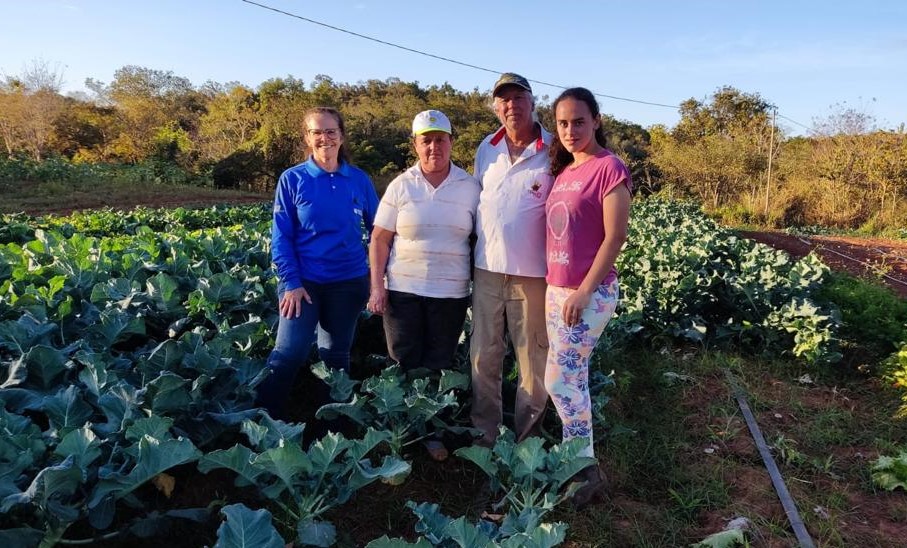 Adubação: Nutrientes Essenciais Para o Crescimento Saudável - inspiração 1