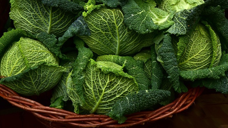 Alface: Frescor na Mesa Rapidinho - inspiração 2