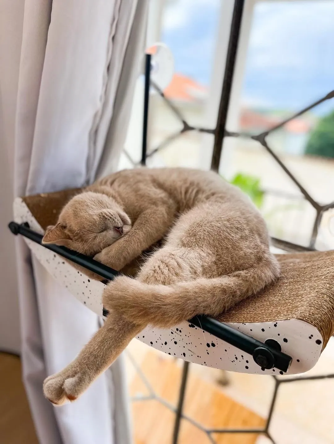 Aconchego com Caixas de Papelão: Um Refúgio Ecológico - inspiração 1