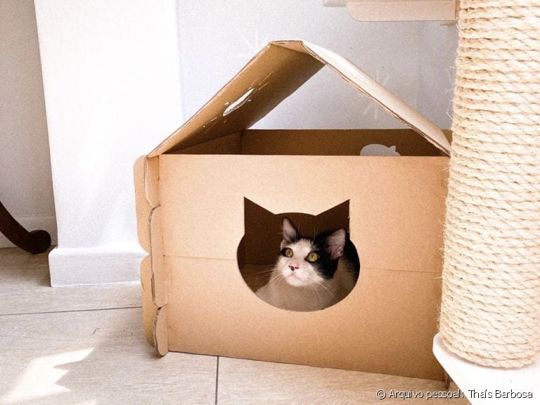 Aconchego com Caixas de Papelão: Um Refúgio Ecológico - inspiração 2