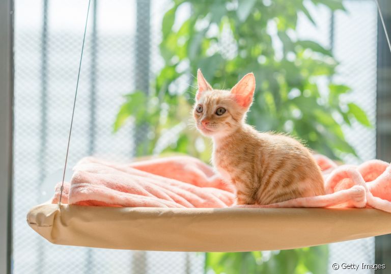 Cama de Pneu: Estilo e Durabilidade Reinventados - inspiração 1