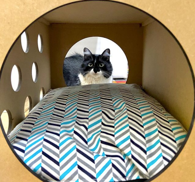 Cama Suspensa com Saias de Cama Antigas: Elegância e Frescor - inspiração 1