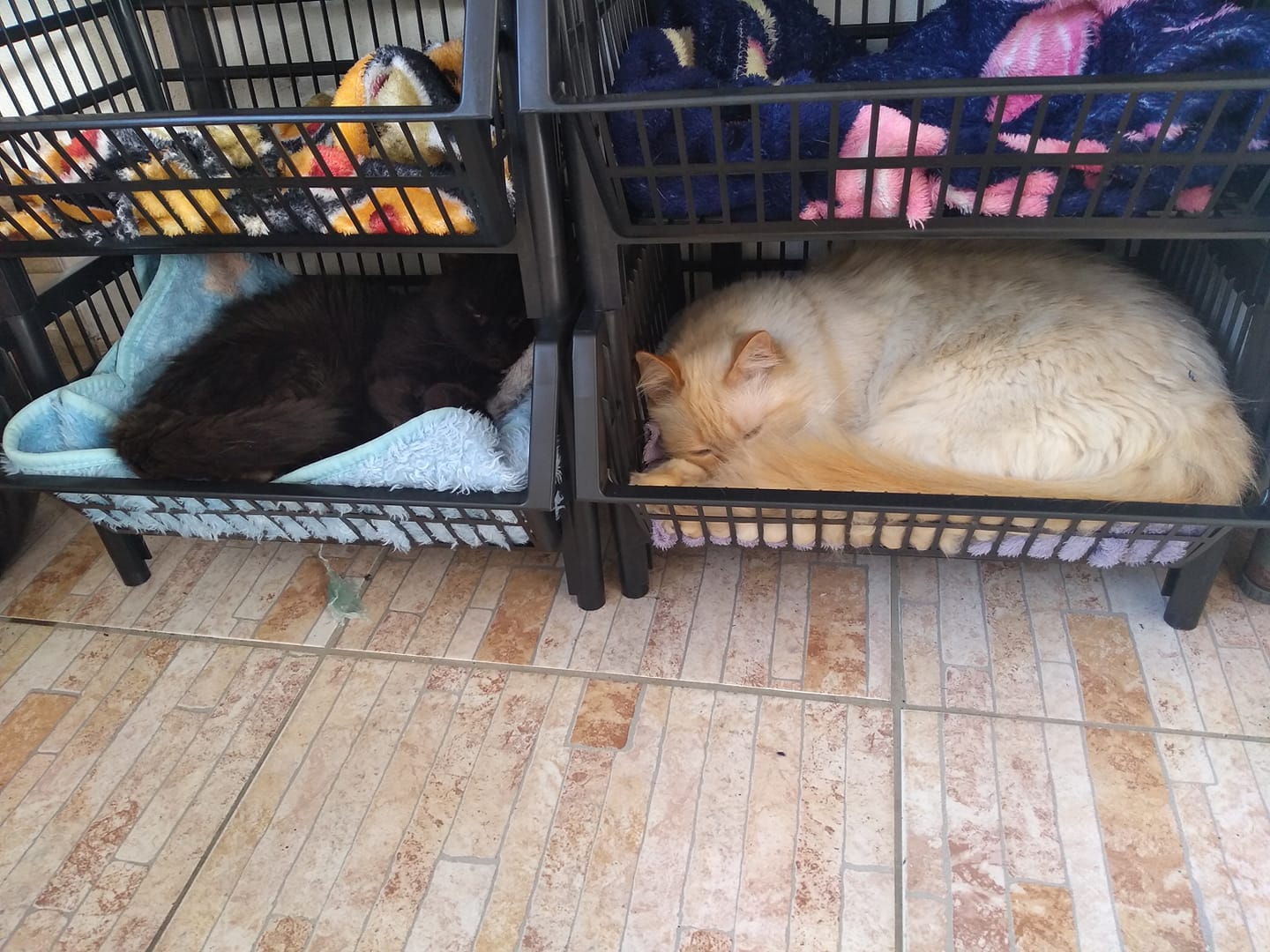 Cama com Almofadas em Camadas: O Máximo de Maciez - inspiração 1