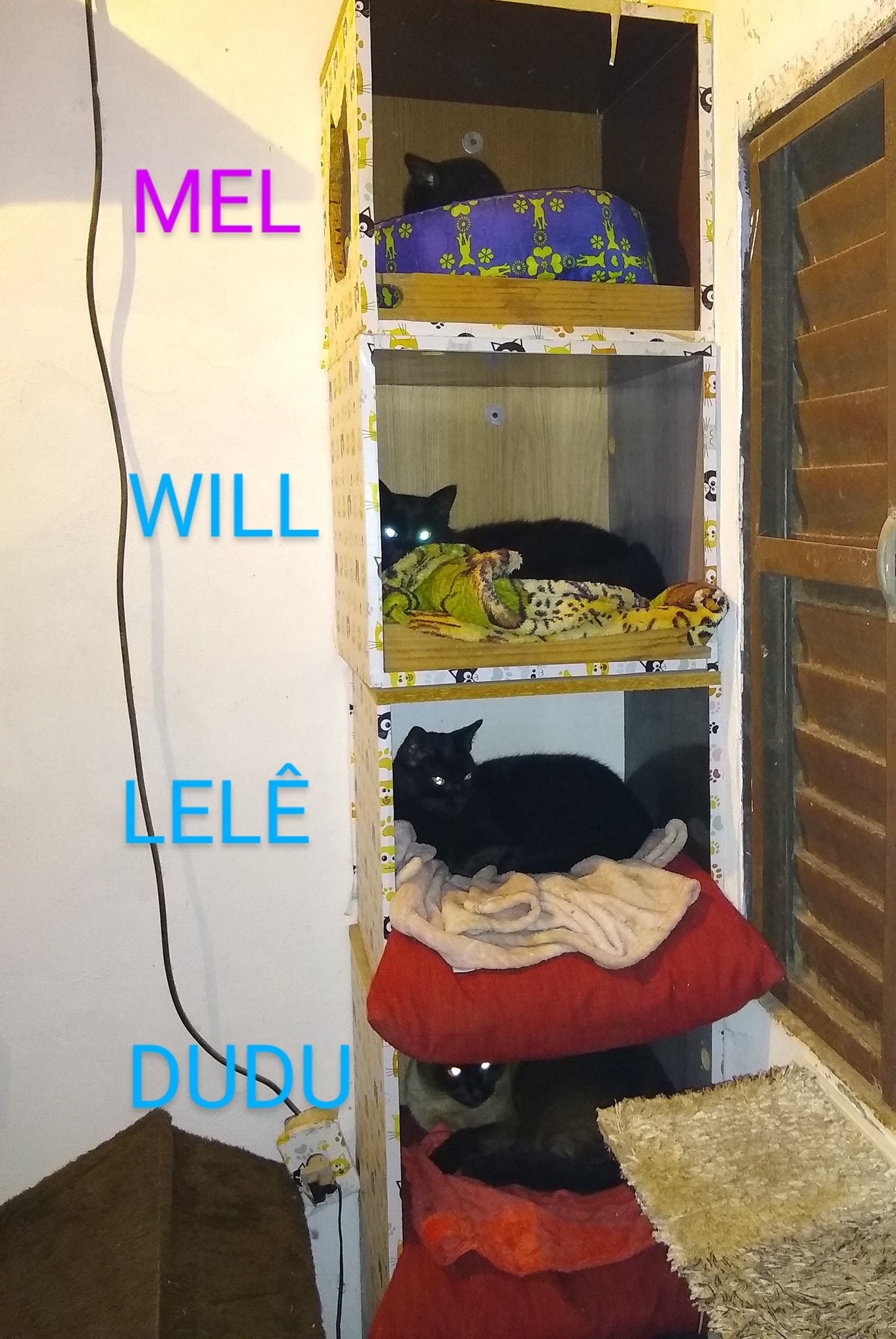 Casinha Criativa com TNT e Arame: Estilo Moderno - inspiração 2