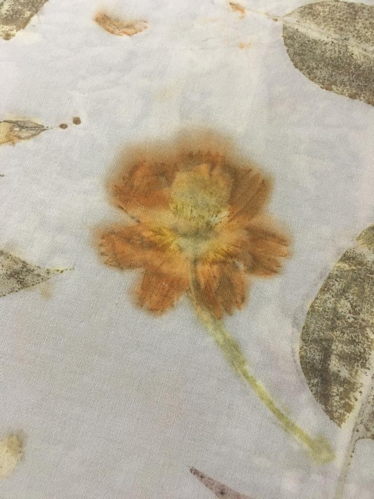 A Seleção das Folhas e Flores Perfeitas - inspiração 2