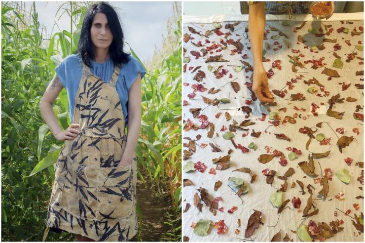 O Processo de Fixação da Cor Natural - inspiração 1