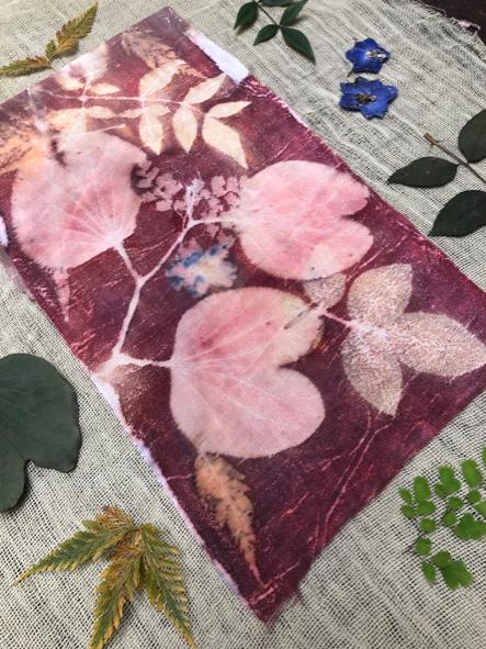 O Processo de Fixação da Cor Natural - inspiração 2