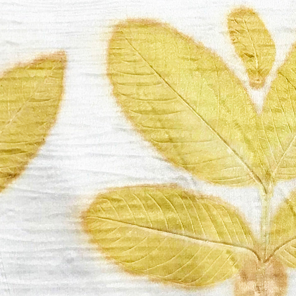 Soluções Criativas: O Que Criar com Impressão Botânica? - inspiração 1