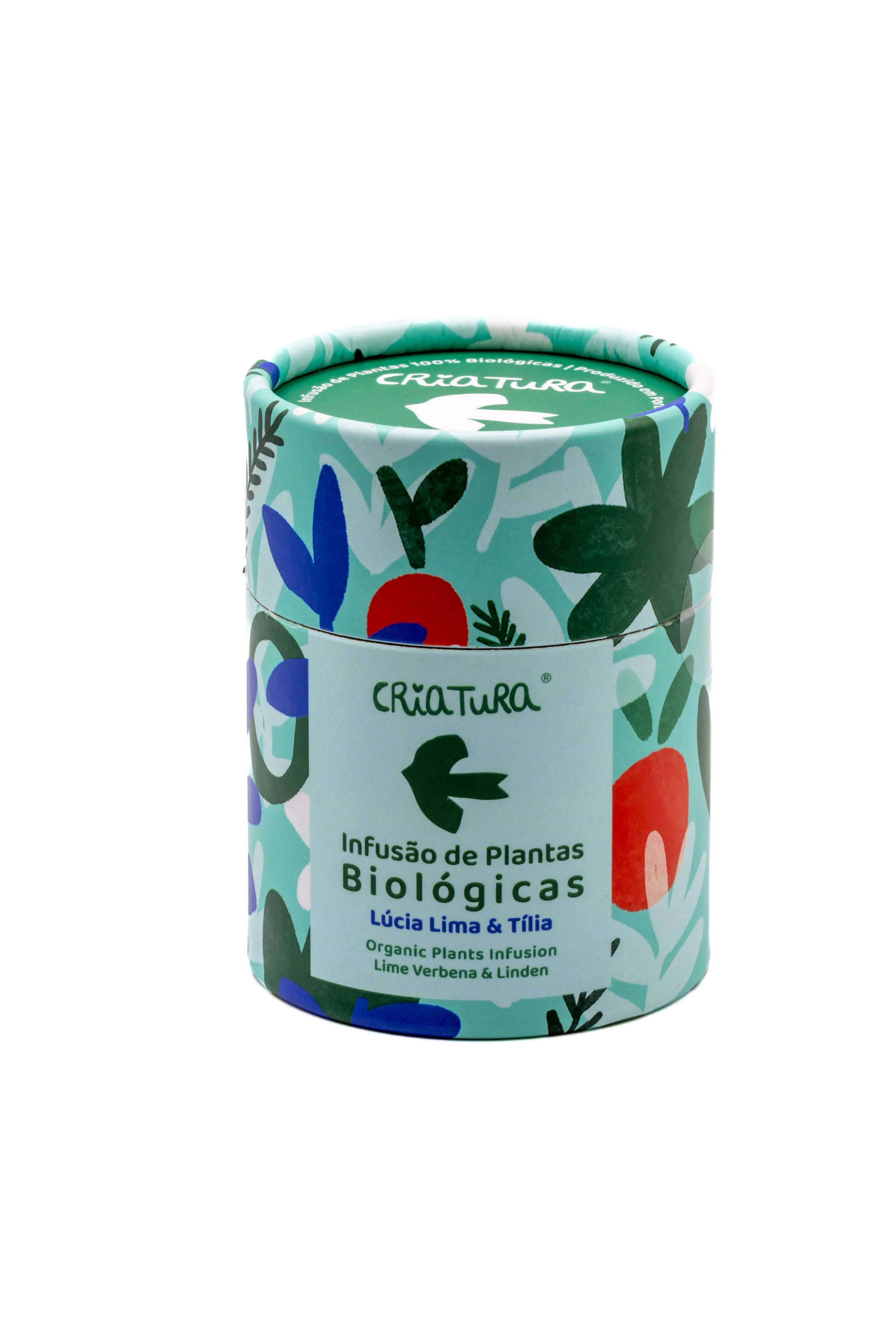 Erros Comuns ao Preparar Infusões e Como Evitá-los - inspiração 2