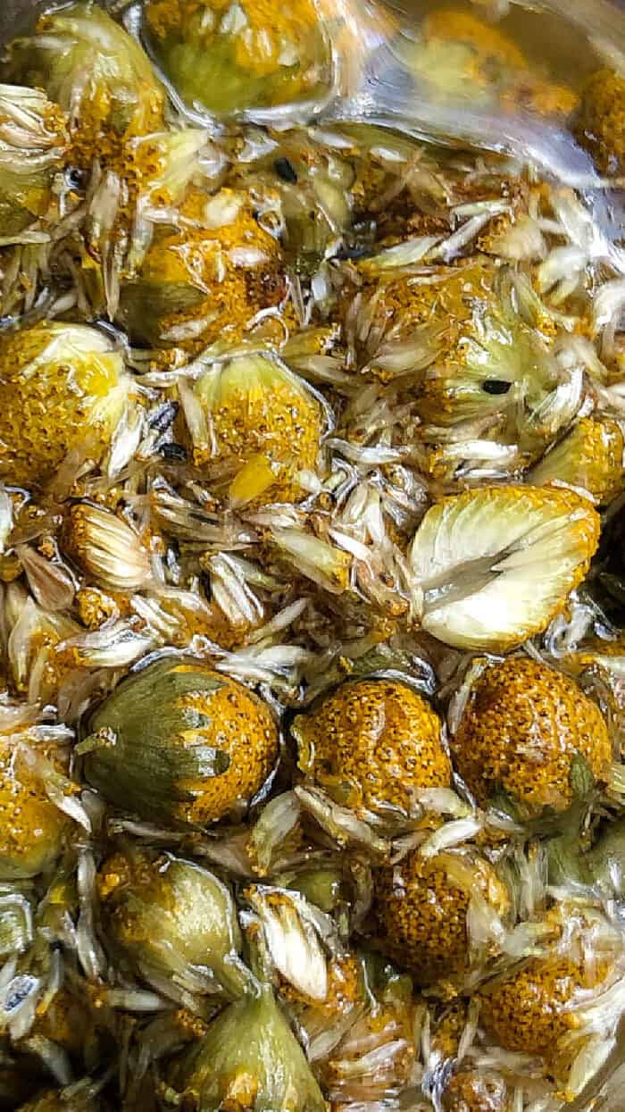 O Poder do Formigamento: Entendendo a Sensação - inspiração 2