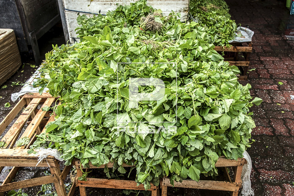 A Versatilidade do Jambu: De Entradas a Pratos Principais - inspiração 2