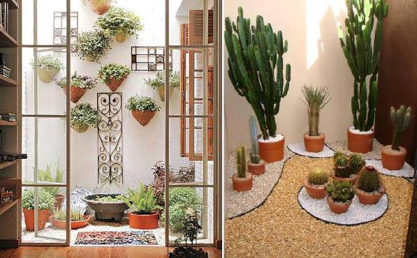 Rega e Umidade: O Equilíbrio Delicado para Suas Plantas - inspiração 1