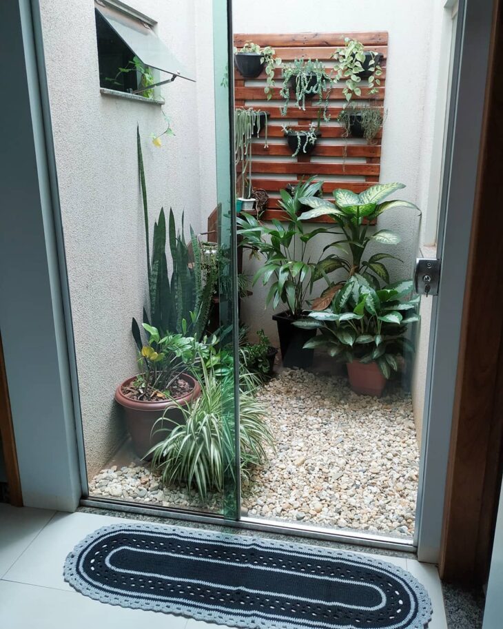 Rega e Umidade: O Equilíbrio Delicado para Suas Plantas - inspiração 2