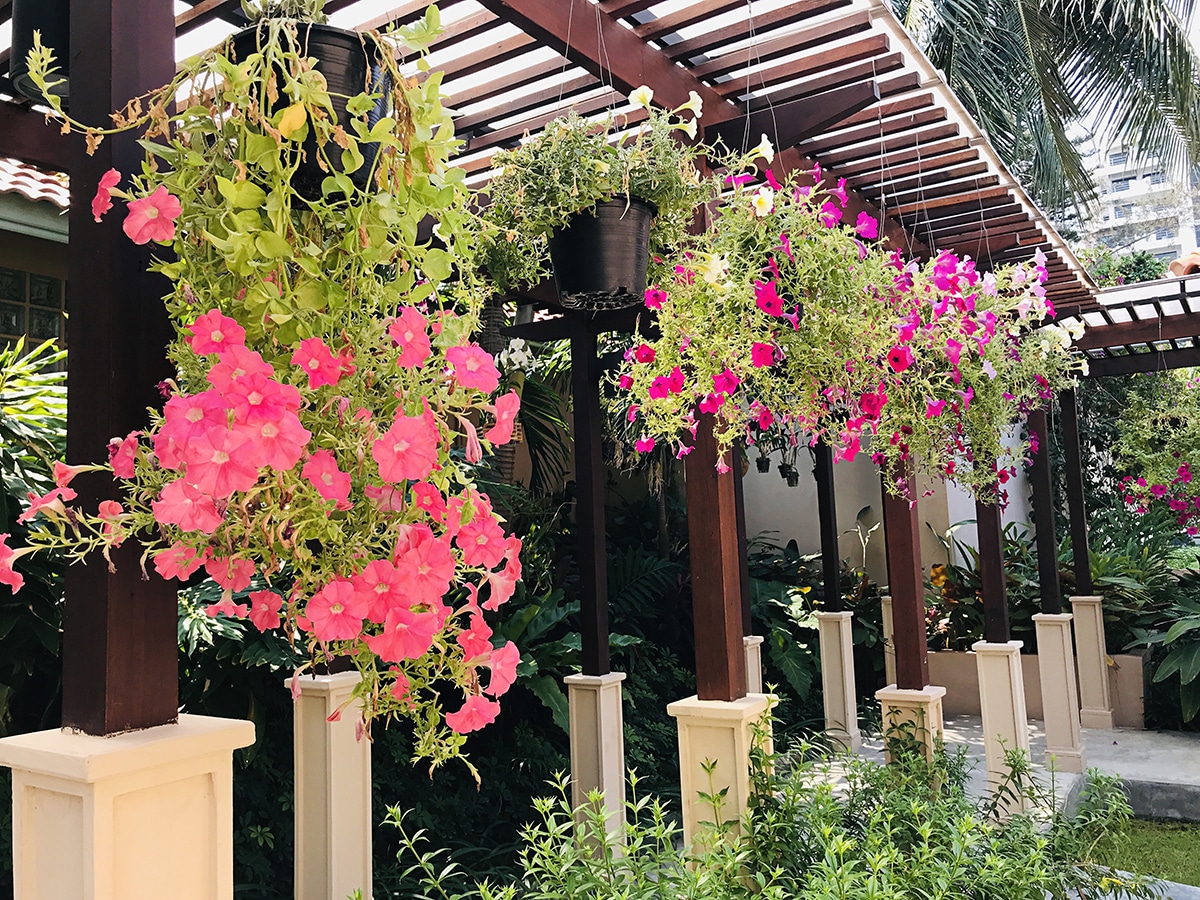 Ambientes Internos: Trazendo a Natureza para Dentro de Casa - inspiração 1