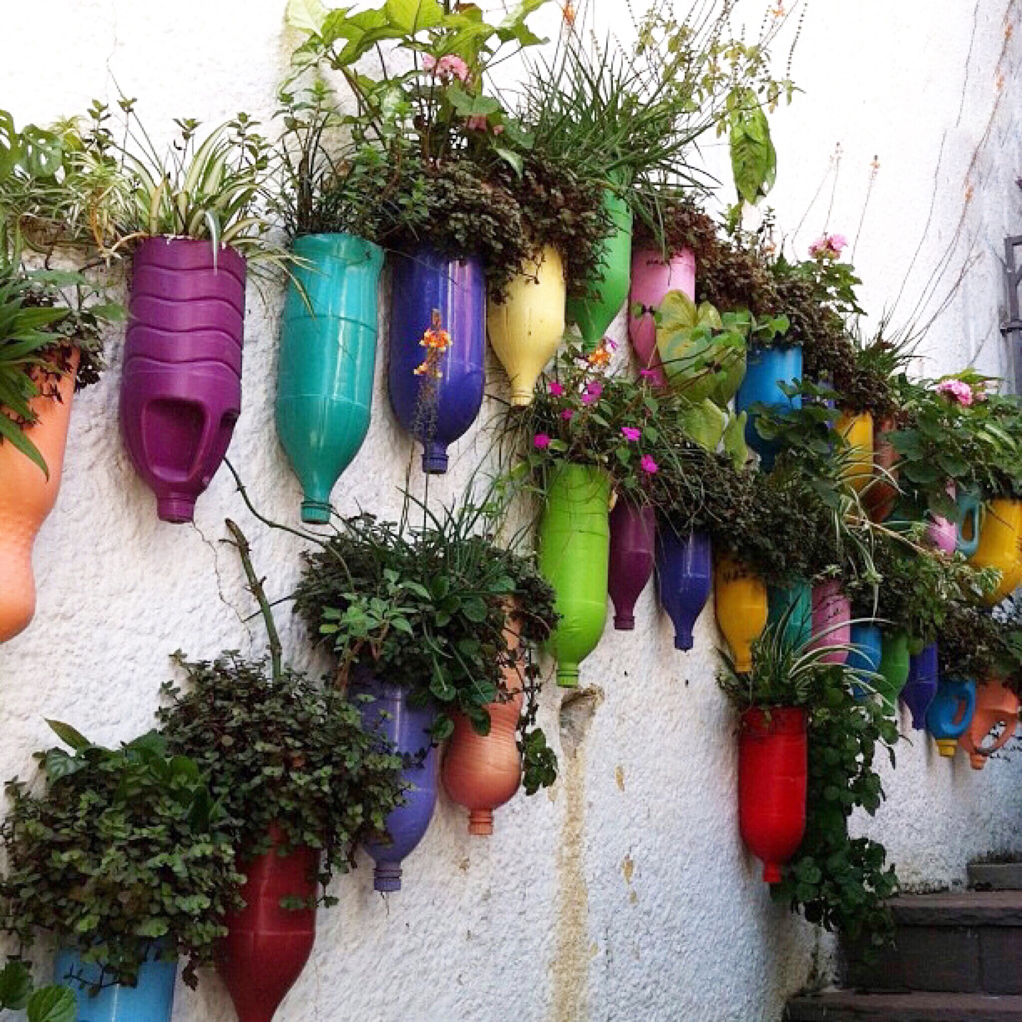 Escolhendo o Local Ideal Para Seu Verde - inspiração 2