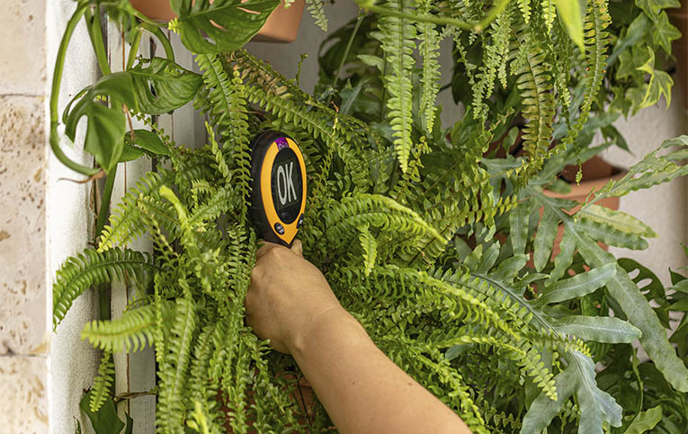 Poda e Poda de Manutenção: Deixando Tudo Bonito - inspiração 1