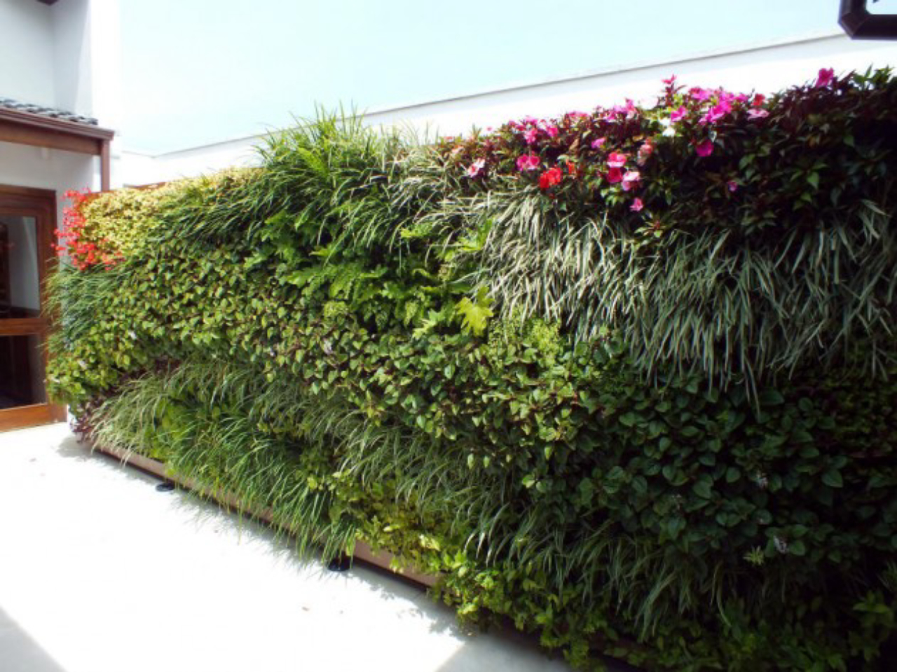 O Plantio: Dicas Que Fazem Toda a Diferença - inspiração 1