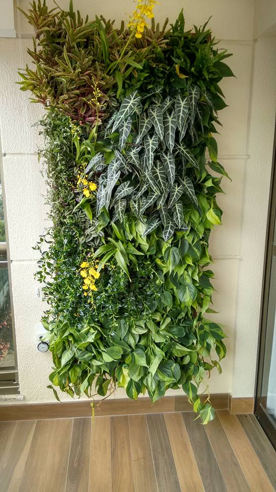 Adubação: O Segredinho para Plantas Saudáveis e Vibrantes - inspiração 1