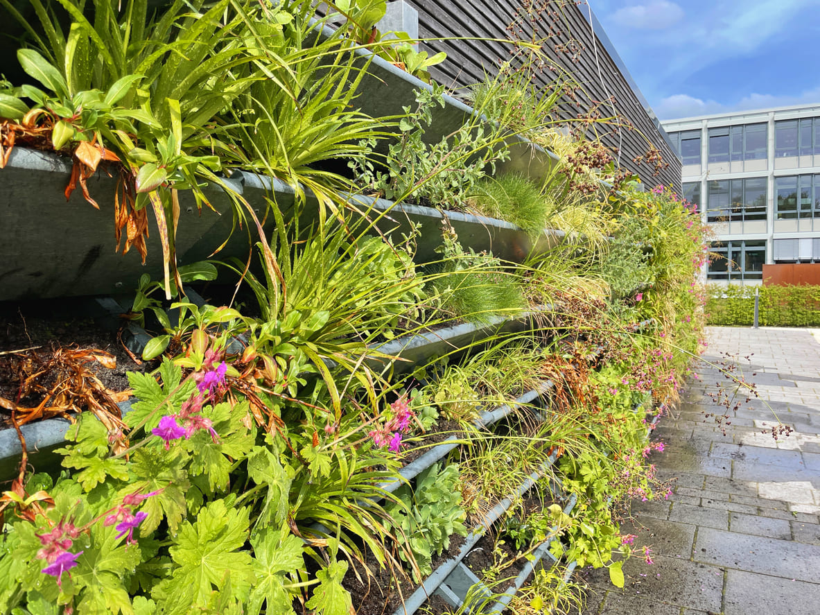 Preparando o Solo e a Drenagem: A Base de um Jardim Saudável - inspiração 1