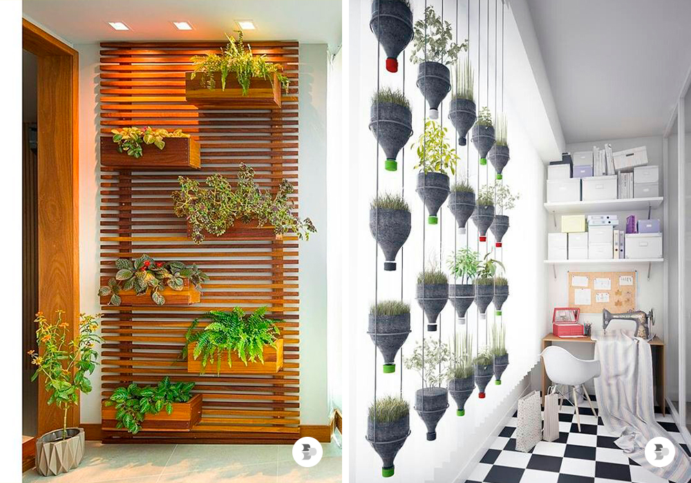 Rega Inteligente: A Frequência Certa Para Cada Planta - inspiração 2