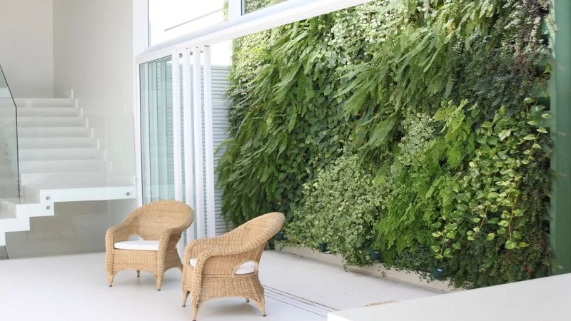 Iluminação Adequada: Entendendo a Luz Que Seu Jardim Precisa - inspiração 2