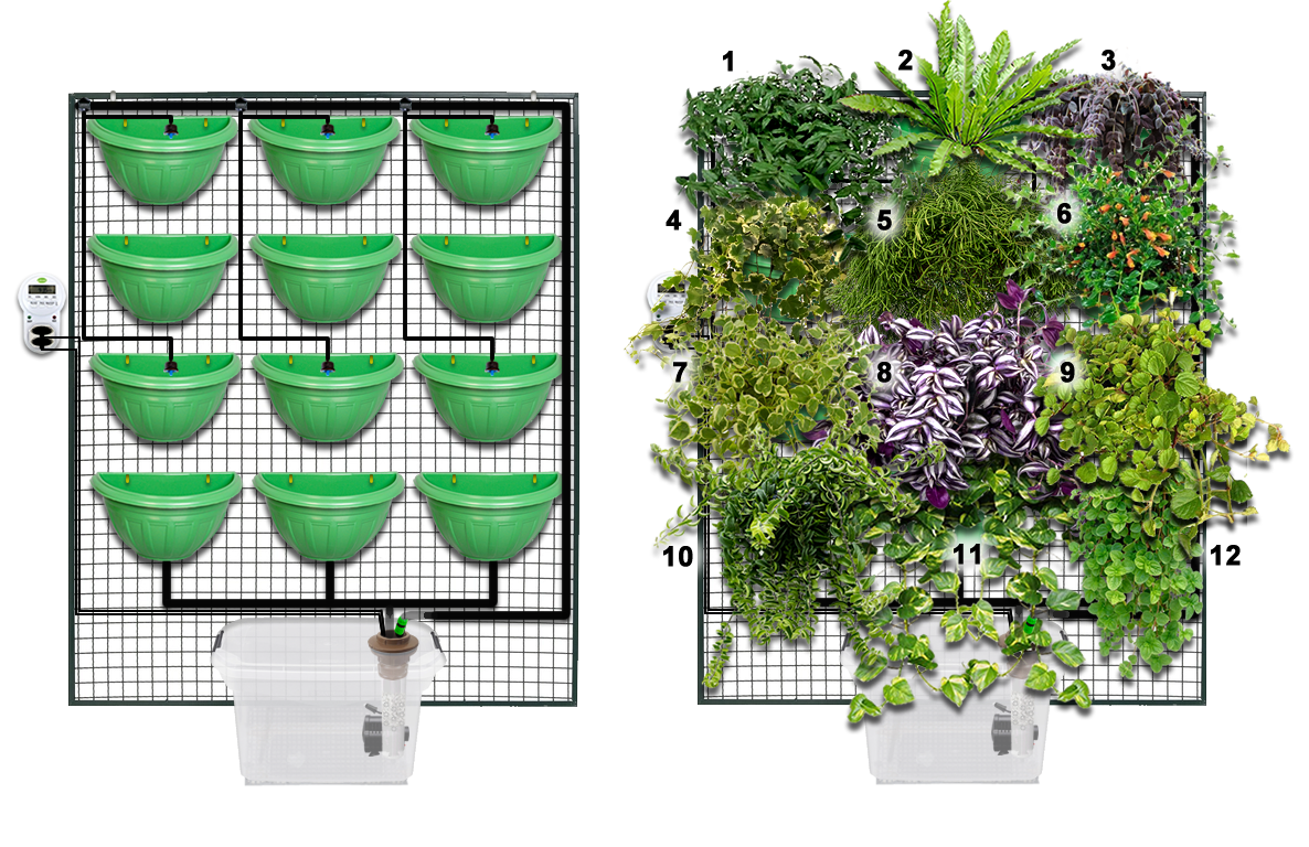 Adubação e Nutrição: Os Segredinhos Para Plantas Viçosas - inspiração 1