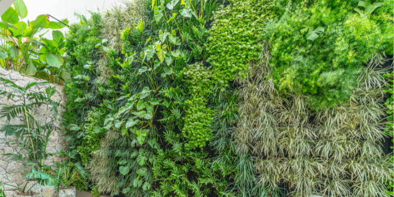 Controle de Pragas e Doenças: Prevenção é a Chave - inspiração 1