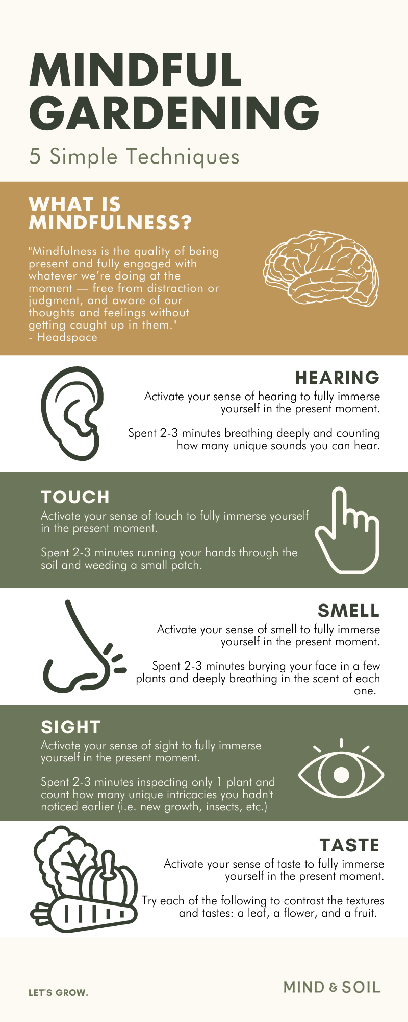 1. Por que a Jardinagem é um Refúgio para a Mente? - inspiração 1